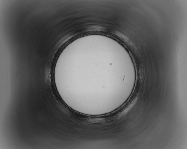 X0000099981113200806131353