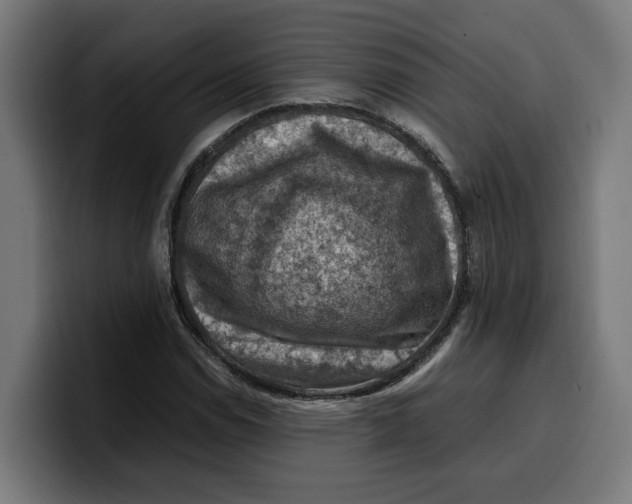 X0000099981114200806131353