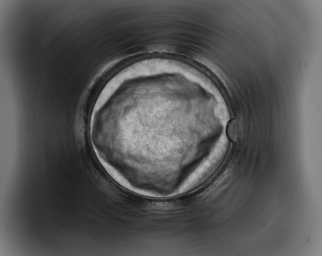 X0000099981115200806131353