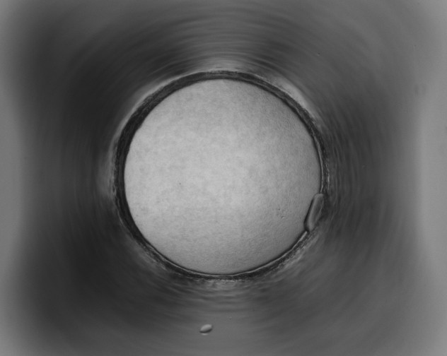 X0000099981116200806131353