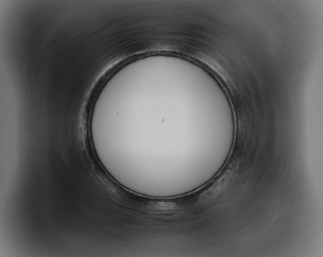 X0000099981119200806131353