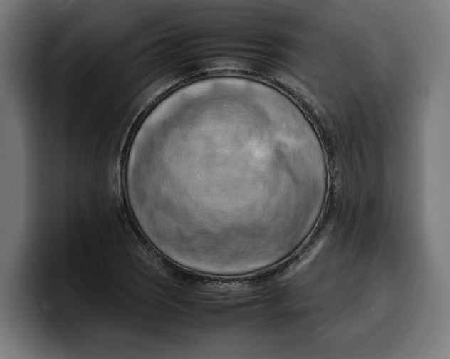 X0000099981121200806131353