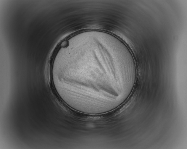 X0000099981123200806131353