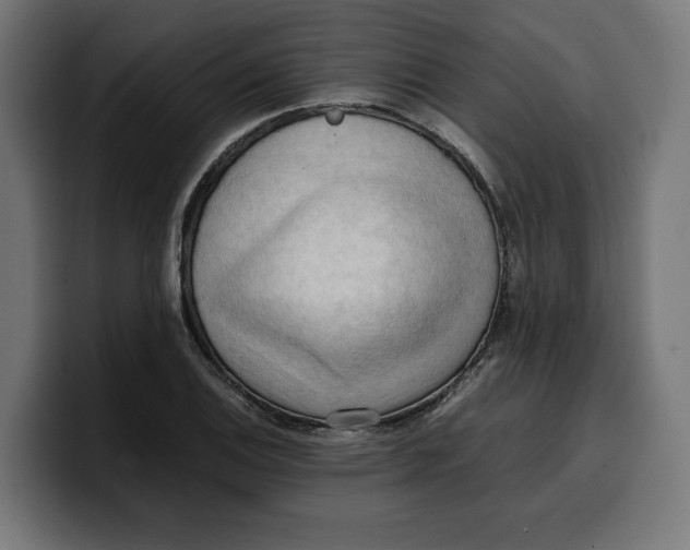 X0000099981124200806131353