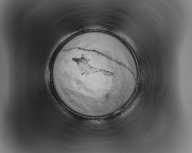 X0000099981125200806131354