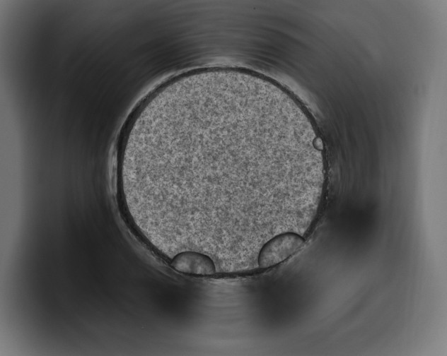 X0000099981126200806131354