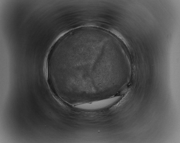 X0000099981127200806131354