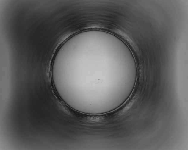 X0000099981129200806131354