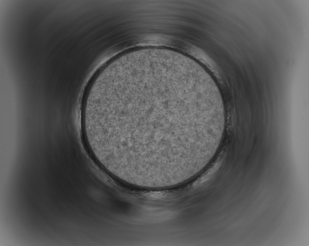 X0000099981130200806131354