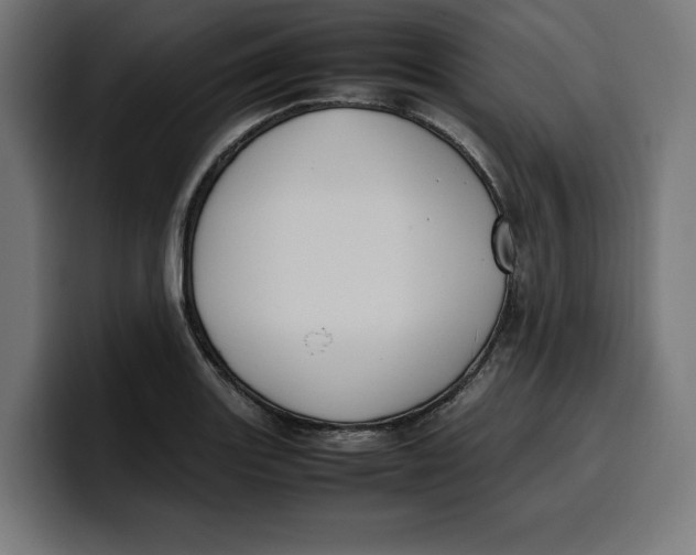 X0000099981131200806131354