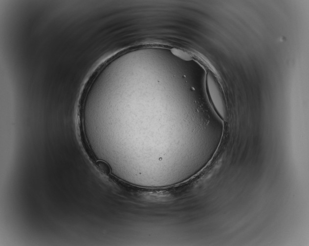 X0000099981133200806131354