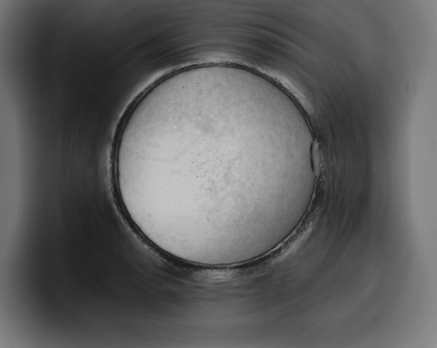 X0000099981134200806131354