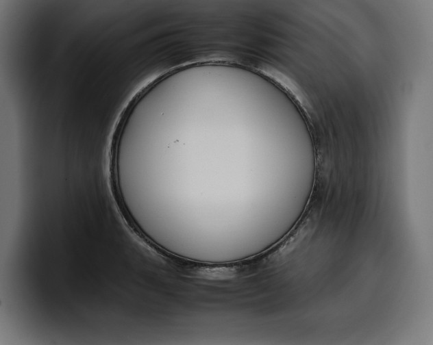 X0000099981135200806131354