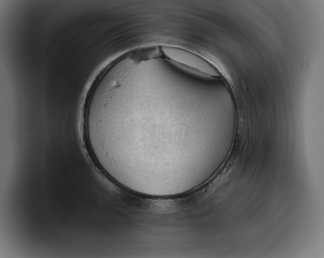 X0000099981136200806131354