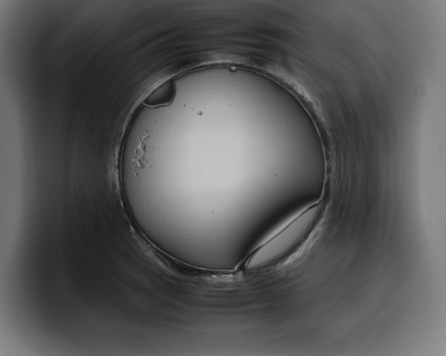 X0000099981137200806131354