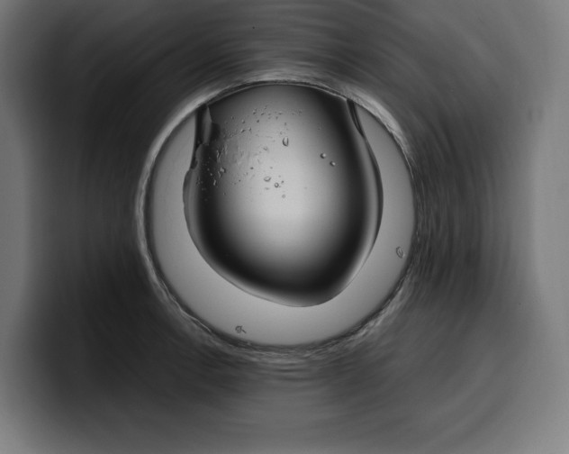 X0000099981138200806131354