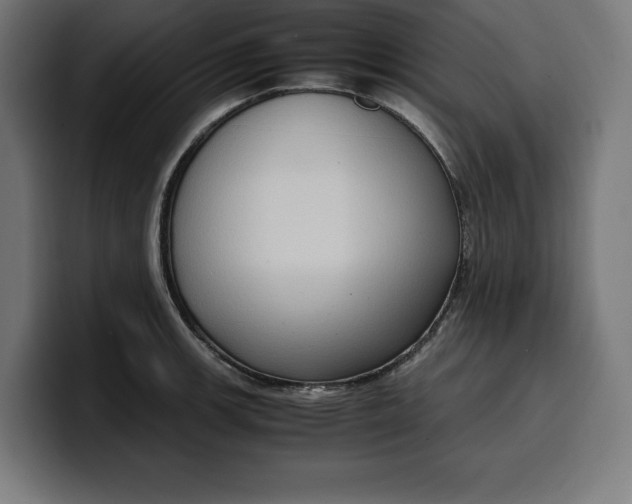 X0000099981139200806131354