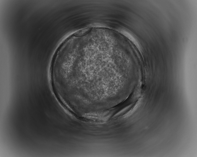 X0000099981141200806131354