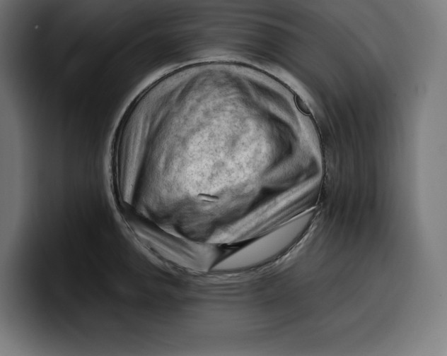 X0000099981142200806131354