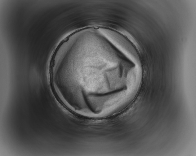 X0000099981143200806131354