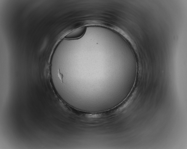 X0000099981145200806131354