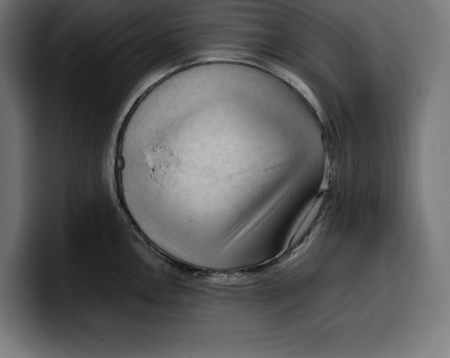 X0000099981146200806131354