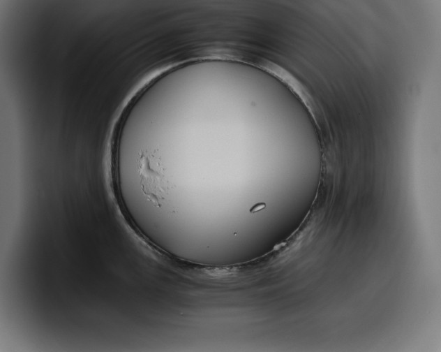 X0000099981147200806131354