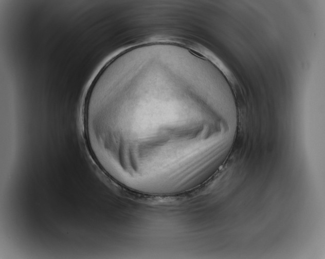 X0000099981148200806131354