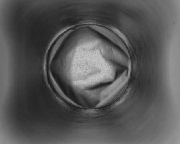 X0000099981149200806131354