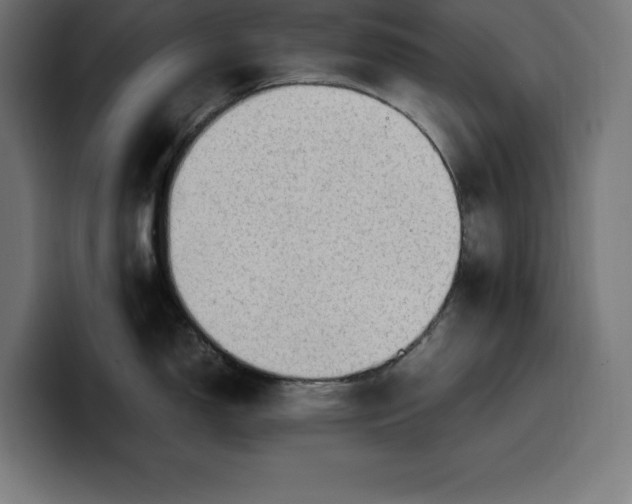 X0000099981150200806131354