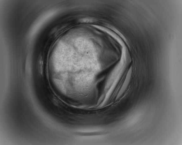 X0000099981151200806131354