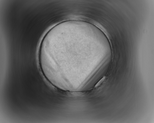 X0000099981152200806131354