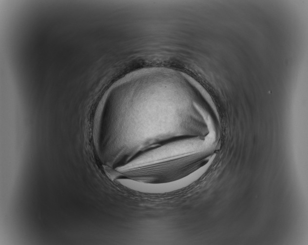 X0000099981153200806131353