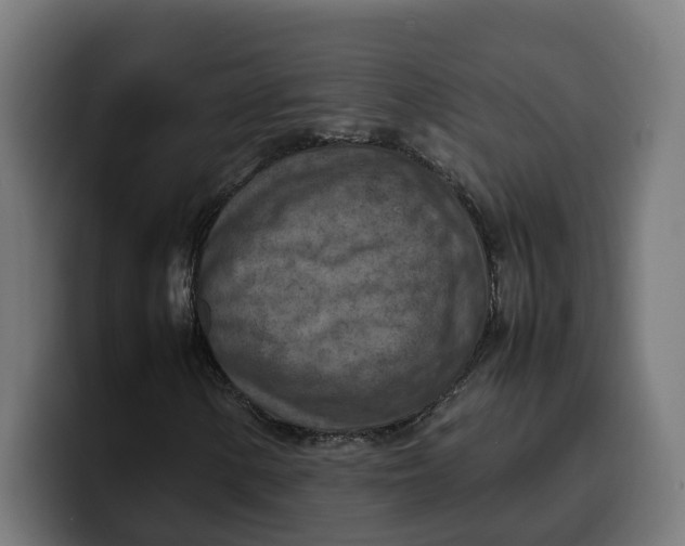 X0000099981154200806131353