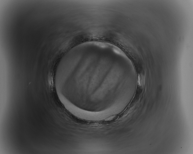 X0000099981155200806131353