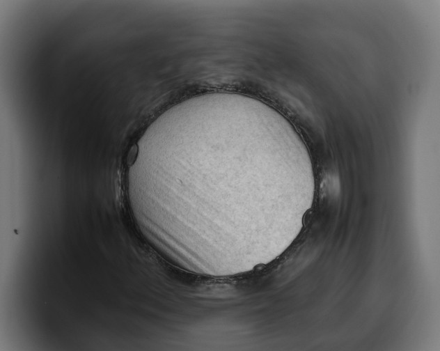 X0000099981156200806131353