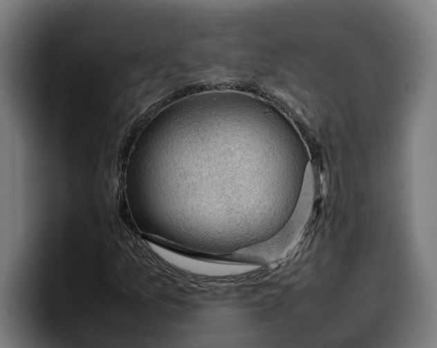 X0000099981157200806131353