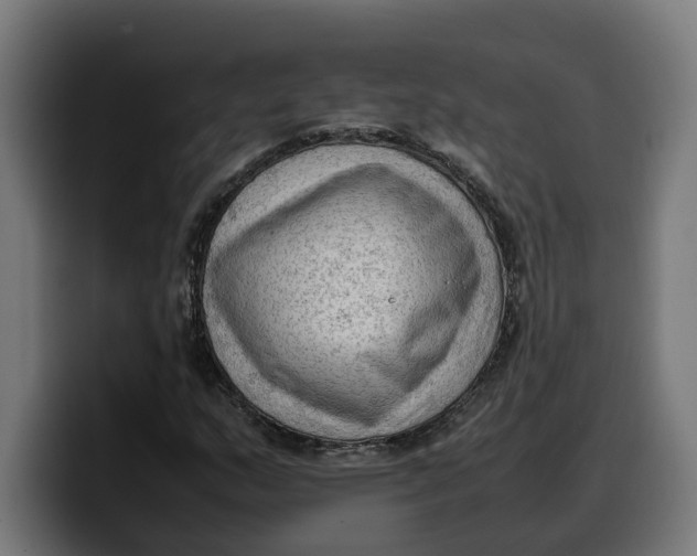 X0000099981159200806131353