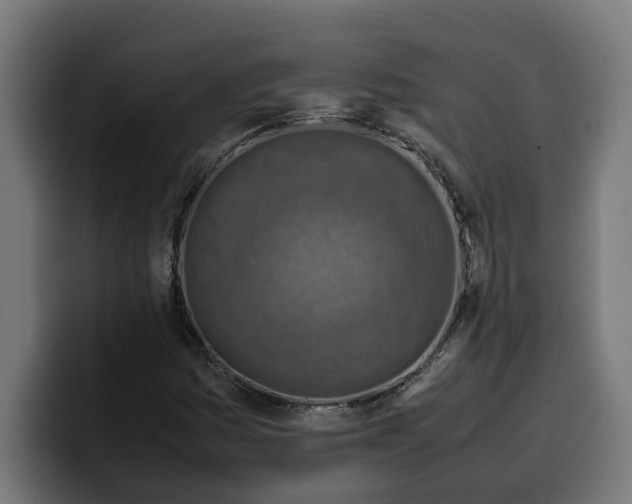 X0000099981161200806131353