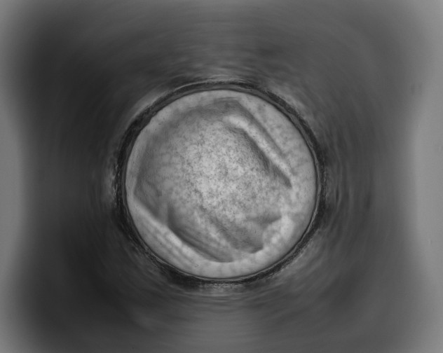 X0000099981163200806131353