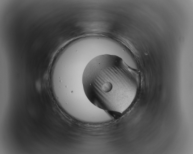 X0000099981164200806131353