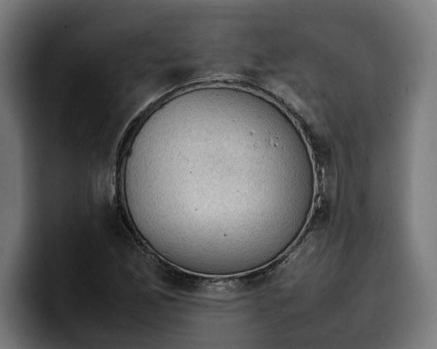 X0000099981165200806131353