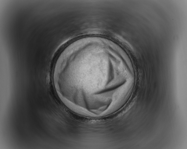 X0000099981166200806131353