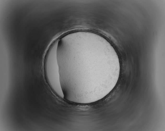 X0000099981168200806131353