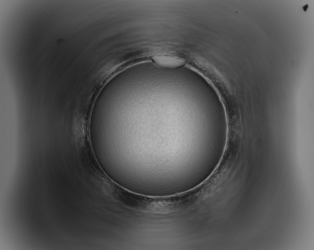 X0000099981169200806131353