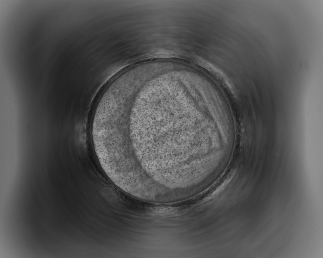 X0000099981170200806131353