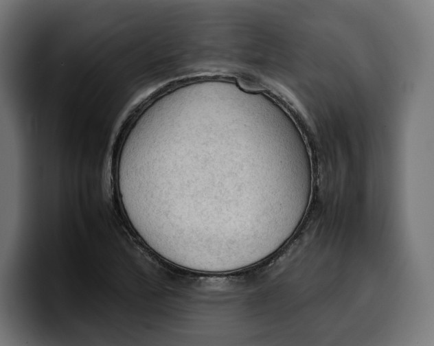 X0000099981172200806131353