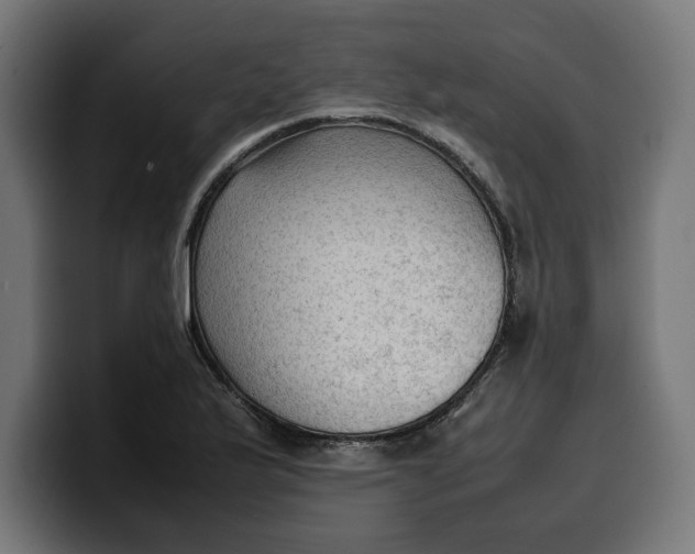 X0000099981175200806131353