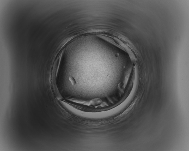 X0000099981177200806131353