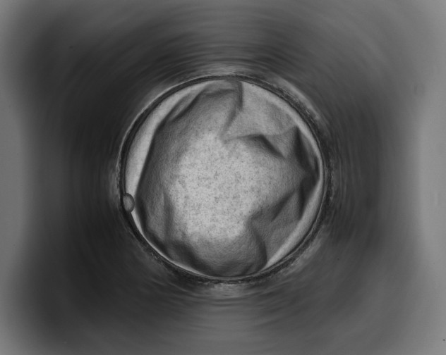 X0000099981178200806131353